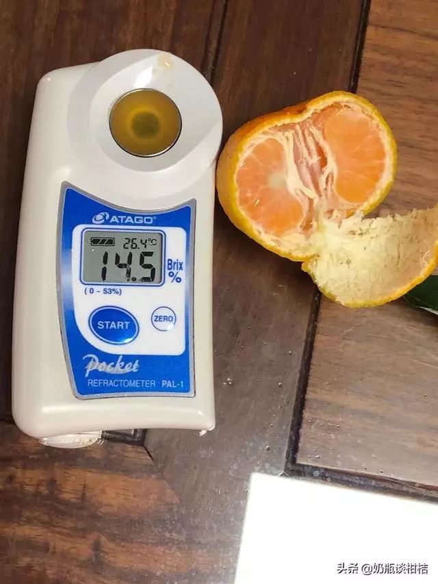 沃柑9斤19.9,广东本地砂糖桔