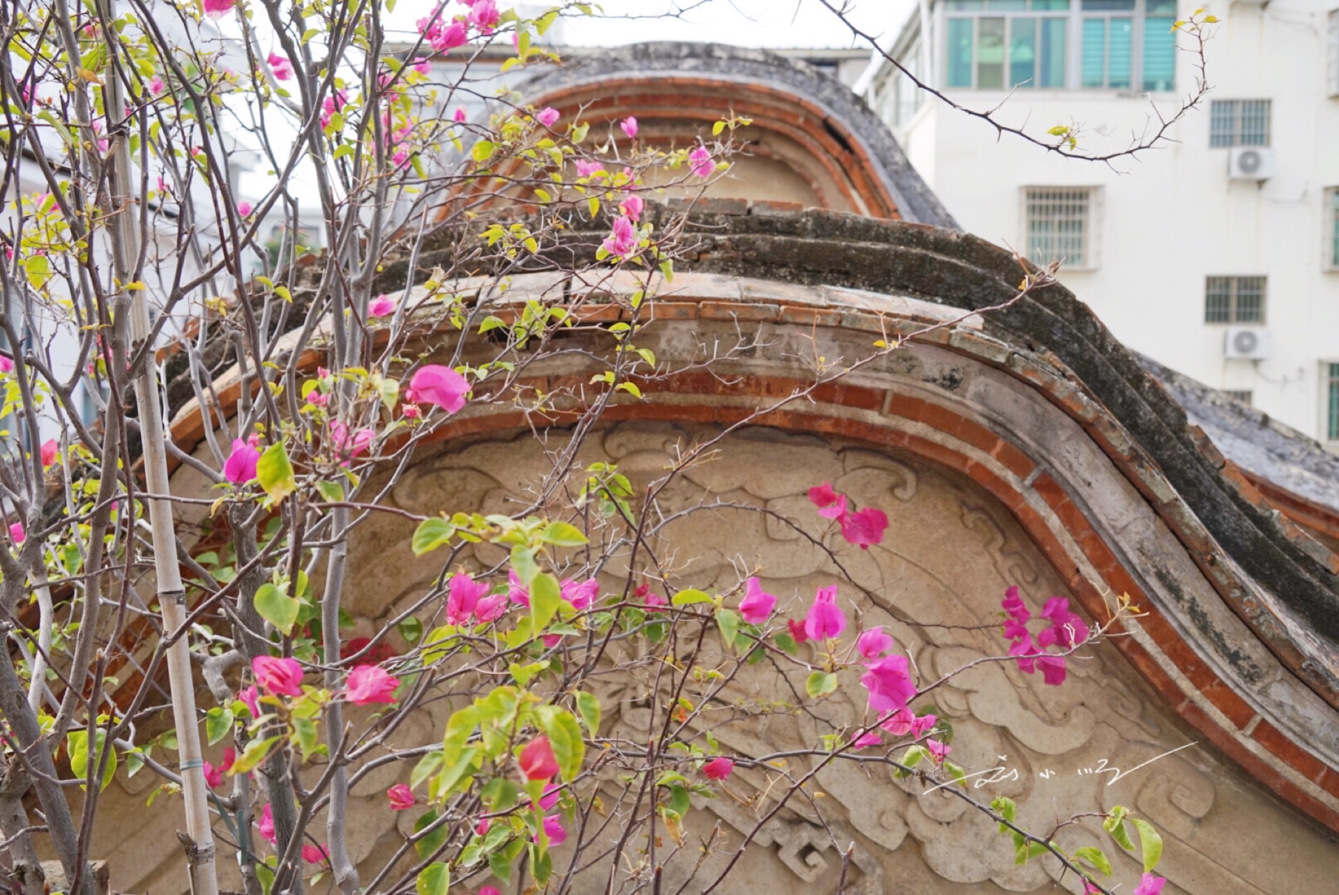 住进风景优美的民宿,厦门住5人海边民宿推荐