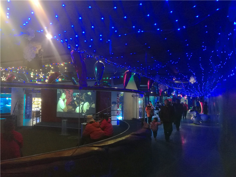 富国海底世界一日游,游富国海底世界