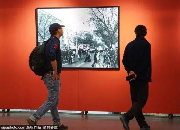 细赏颐和园之秋色冬韵,让我们看看冬日颐和园的美景