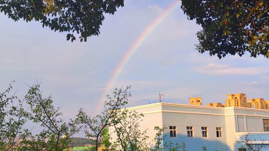 爸妈,我在学校挺好的!武昌理工学院大一新生的“回信”