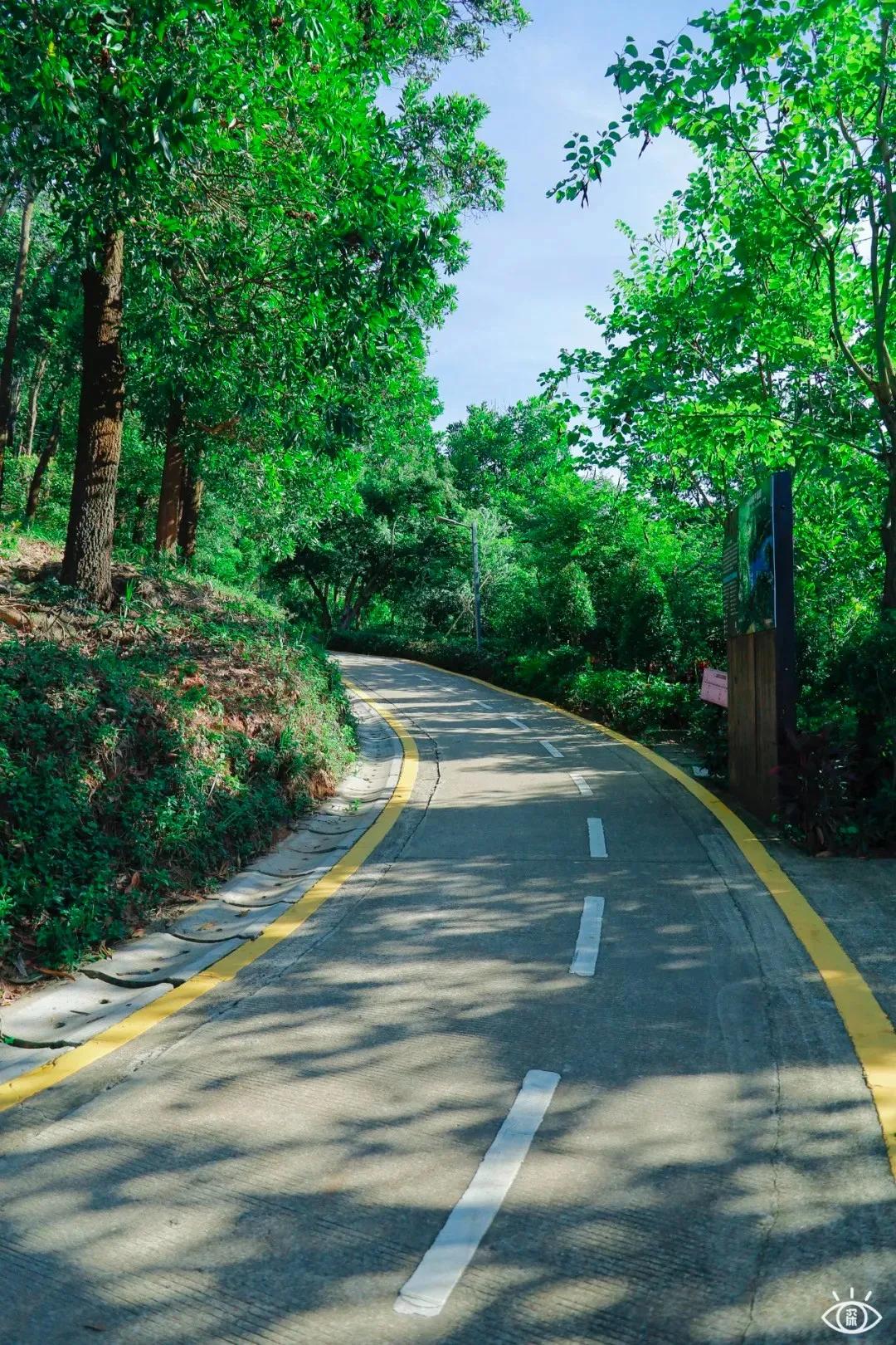 深圳这10条绿道你去过没,深圳十大绿道排行榜