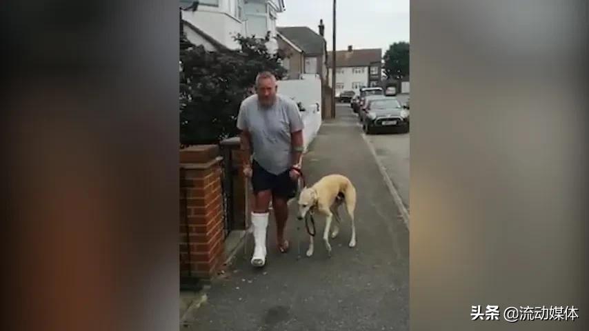 狗子学瘸腿主人走路,狗子学瘸腿主人走路反被揍