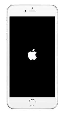 苹果手机死机怎么重启,苹果11手机死机了怎样强制重启