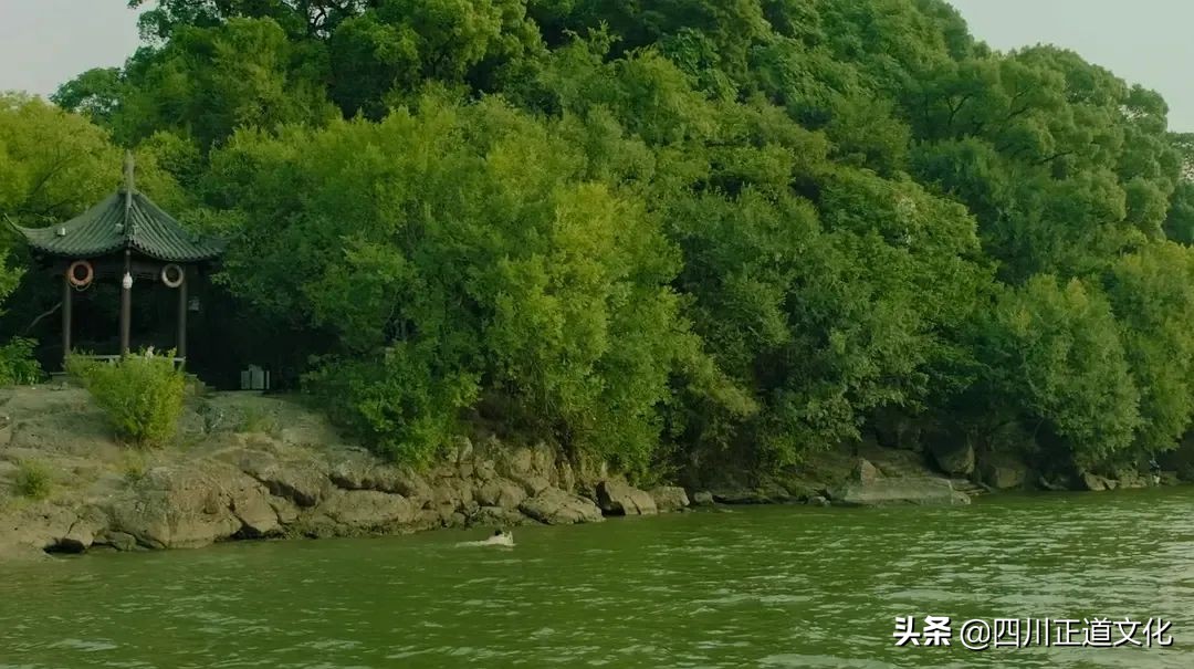 值得看的电影春天,春天的电影名字