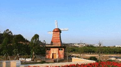 郑州春节周边景区免费景点大全,春节赏花的好去处