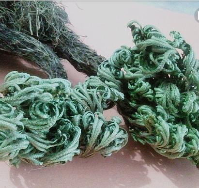 整合——28种青草药,赶快收藏备用!