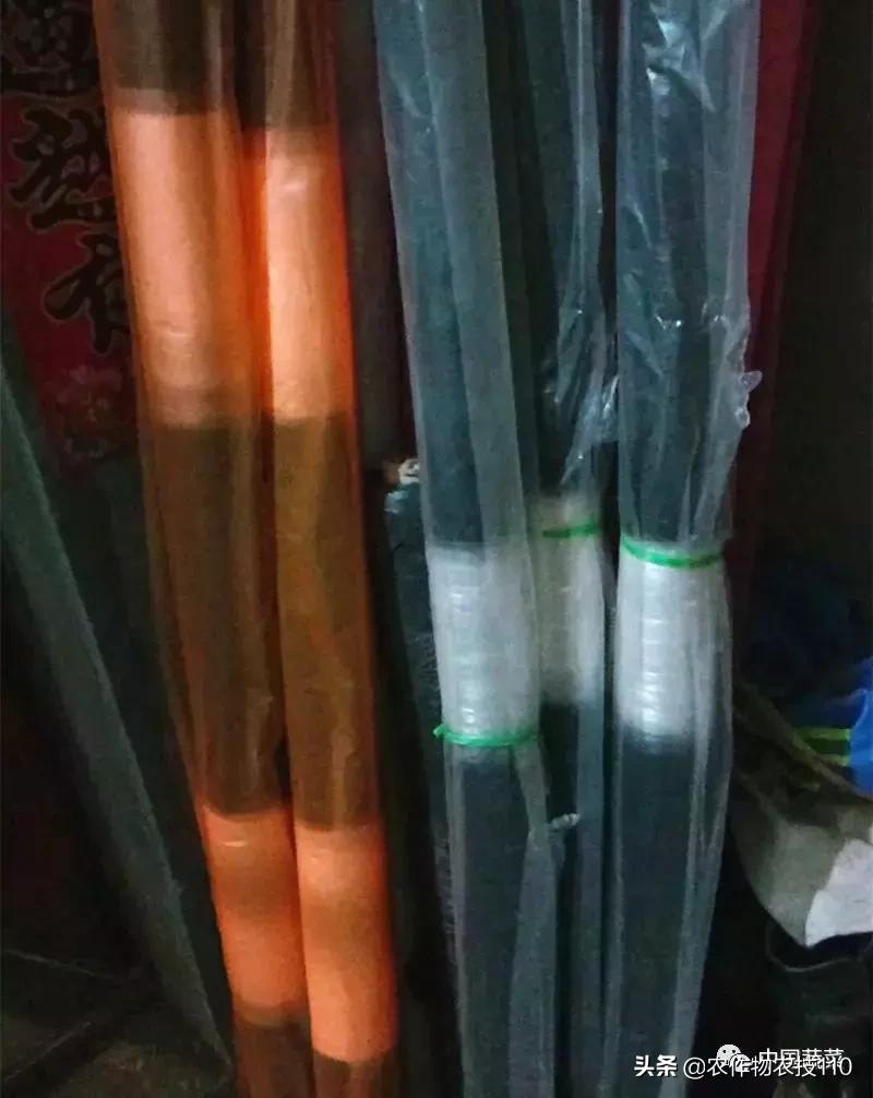 西瓜栽培技术有哪些,西瓜栽培技术全面的文字解释