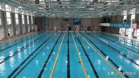 成都室内大型运动场地,周末可以打羽毛球的场子