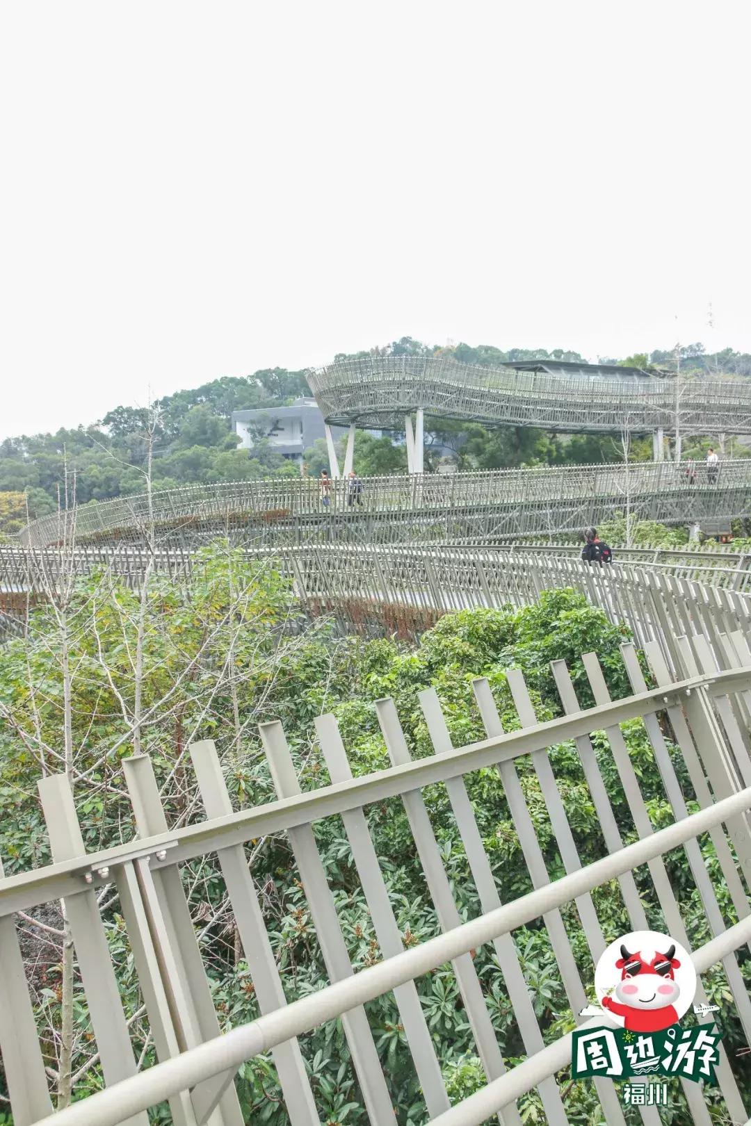 福州鼓楼为什么这么出名,福州鼓楼区分析