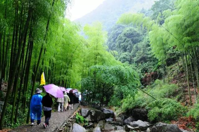 临安市有什么好玩的,临安现在适合去哪里玩