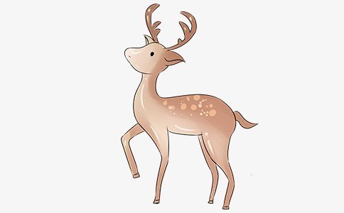 爱情故事暖心1000字,暖心爱情小故事