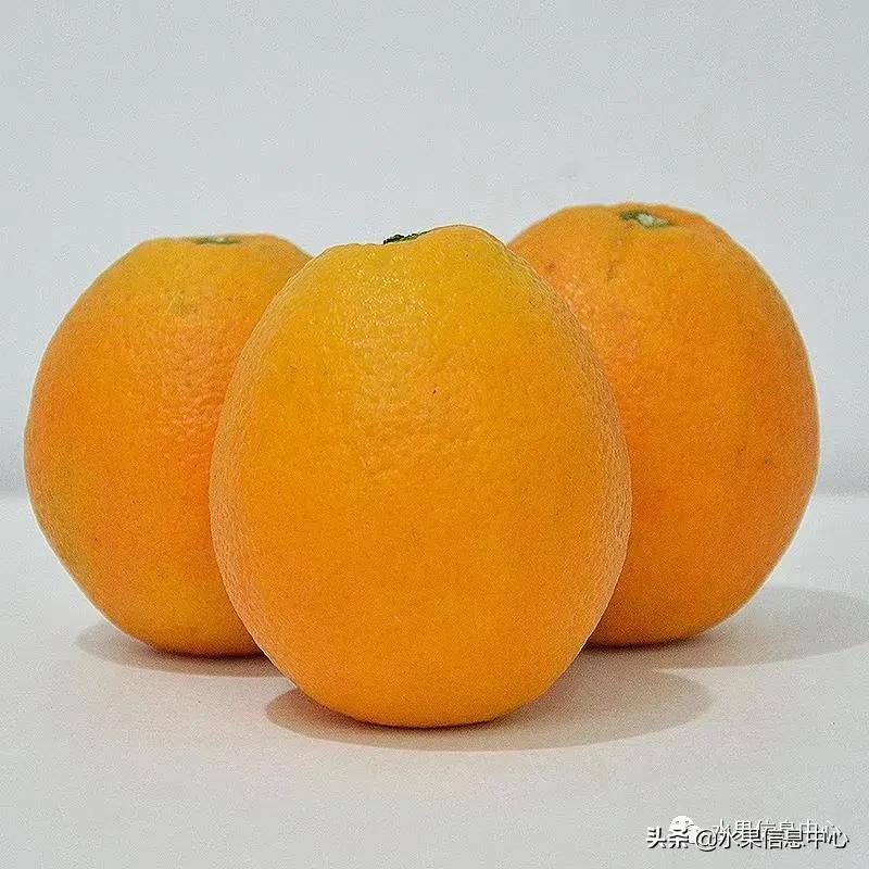 全国橙子产地在哪,中国橙子产地