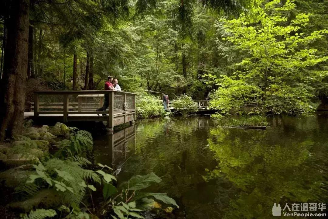 温哥华,超出你期待的钓鱼圣地