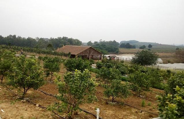 南宁隐藏的景点,南宁周边农家乐游玩景点推荐