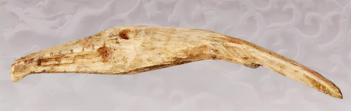 万鹰之神海东青结局,万鹰之神海东青视频