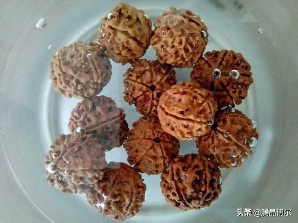 你知道金刚菩提手串怎么盘玩吗?你知道金刚菩提几瓣的最贵吗?