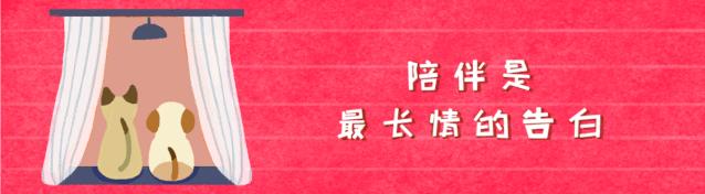 猫咪训猫器,猫咪电毯推荐