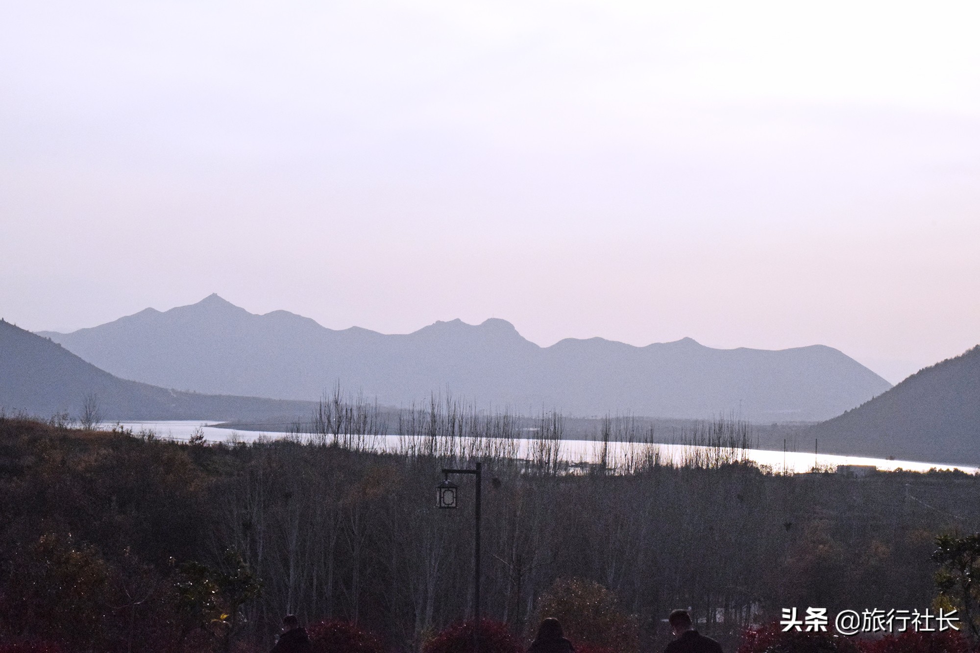 青花瓷孔雀长啥样,青花瓷孔雀在哪里