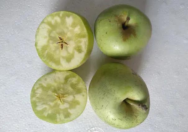 印度青苹果多少钱一斤,印度青苹果几月上市