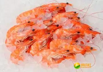 舟山海鲜攻略2天1晚住宿自由行,舟山最好的海鲜