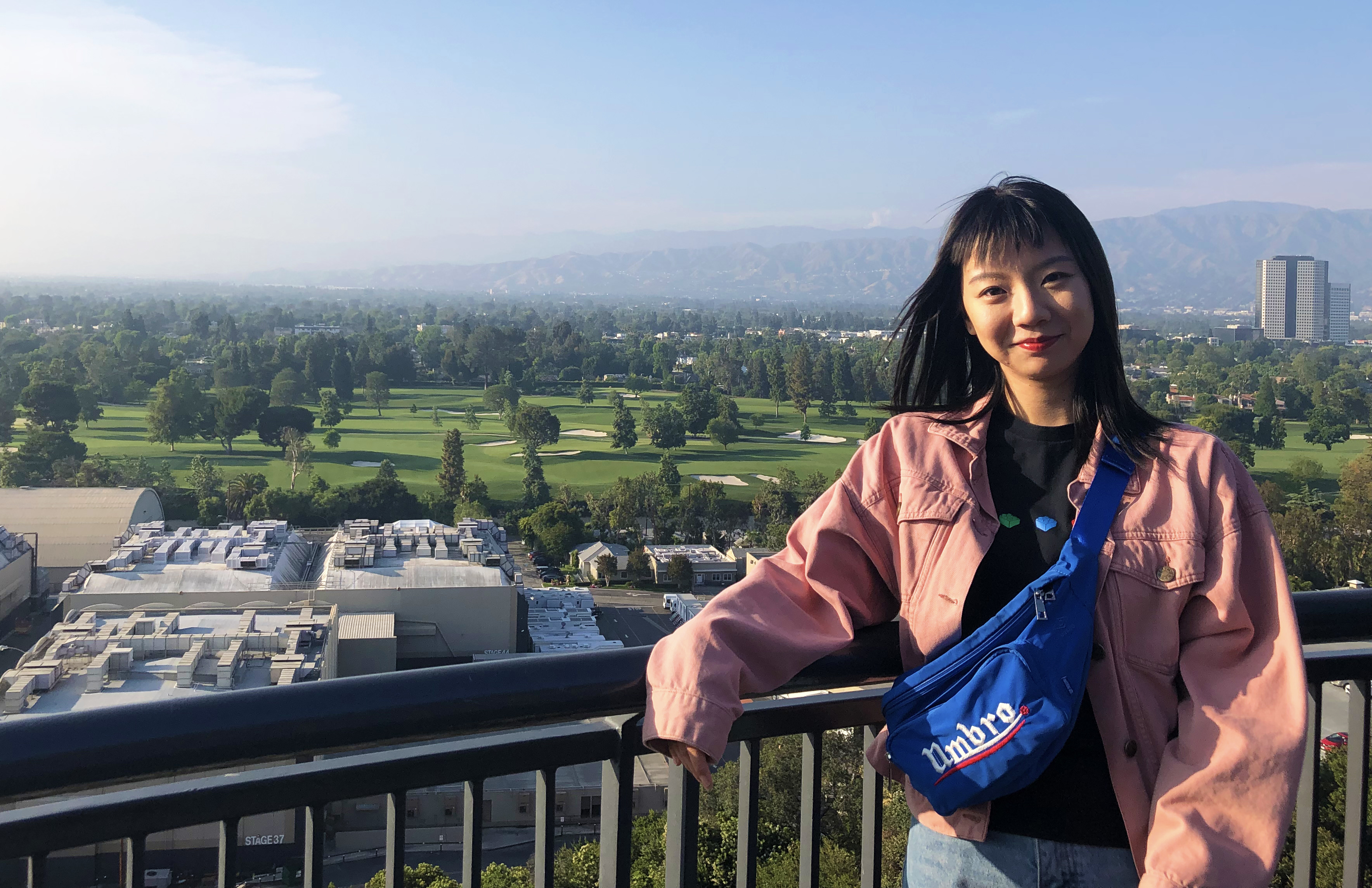 华高莱斯的发展,华高莱斯创业