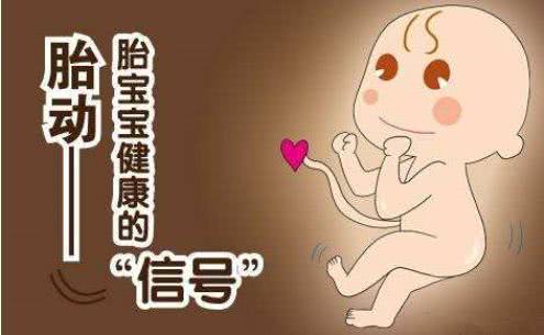 胎儿最好听的声音,胎儿的心跳声怎么听