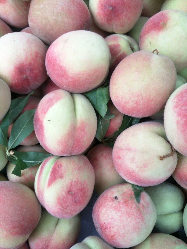 桃子的毛怎么去,桃子的毛怎么清理