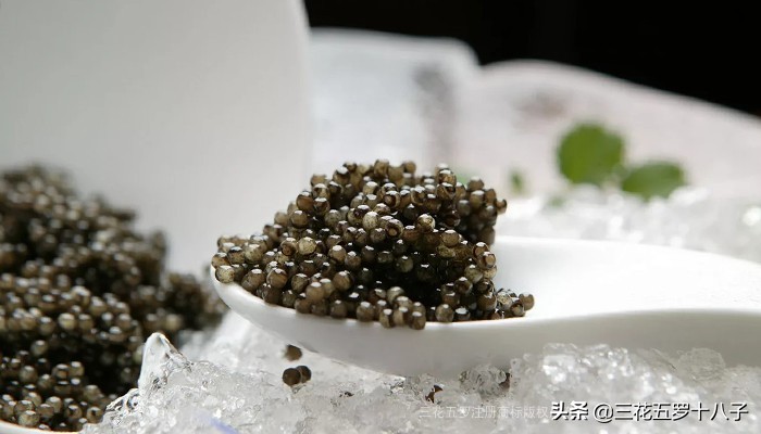 鱼子酱是三大奢侈品美食吗,世界三大美食鱼子酱
