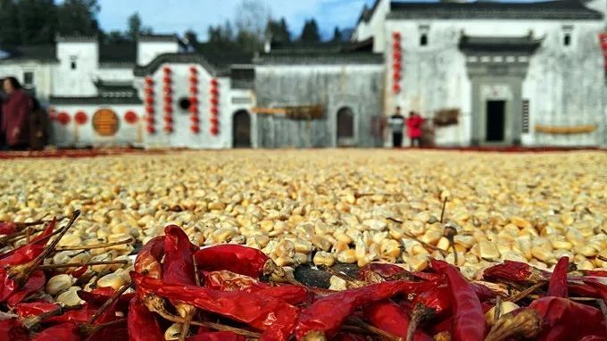 安徽值得去的四大古村,安徽春天最美十大村落