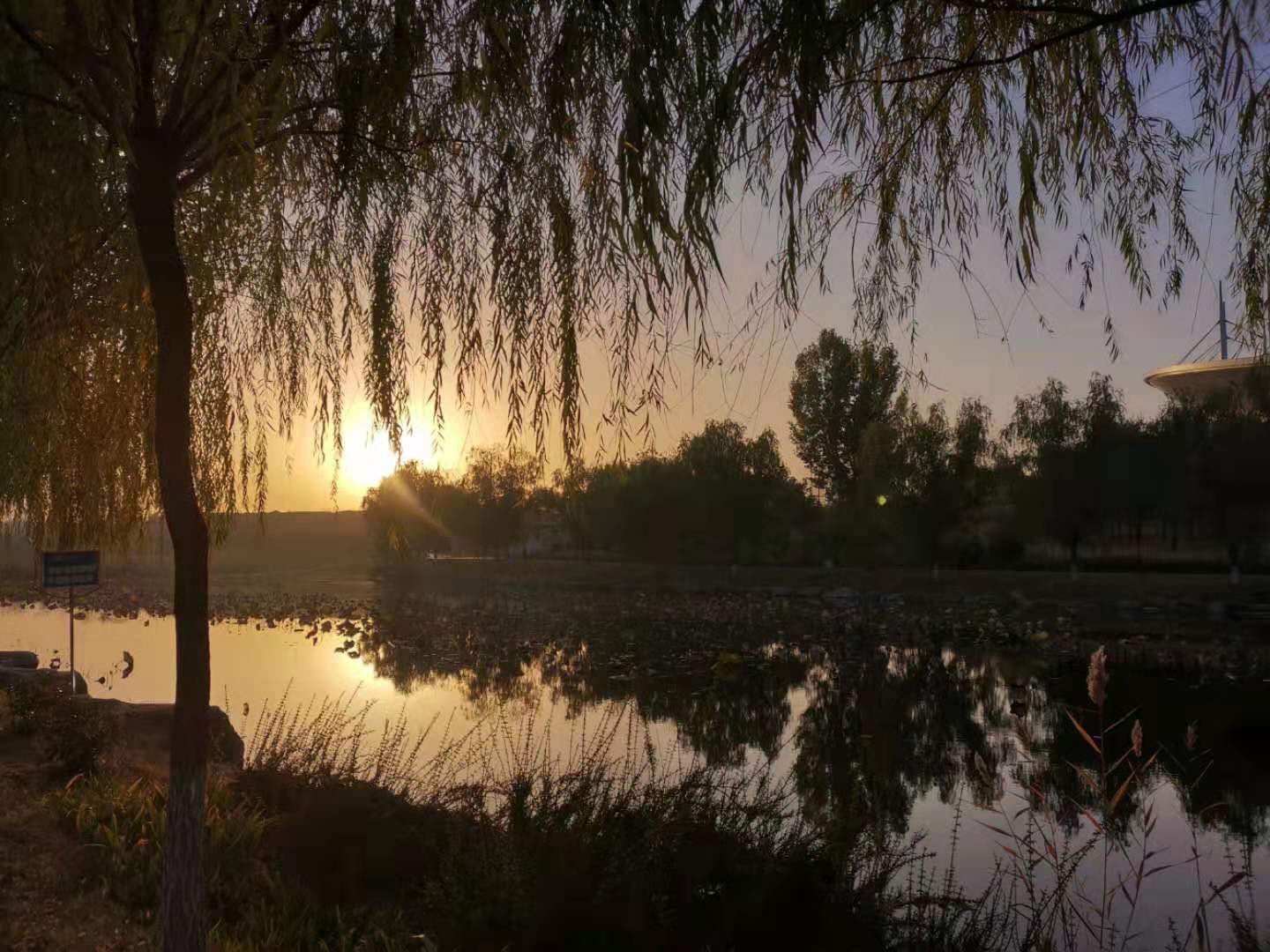 初冬早晨散文,散文春日的清晨