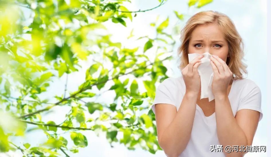 过敏性鼻炎这个世界难题,最新过敏性鼻炎治疗指南