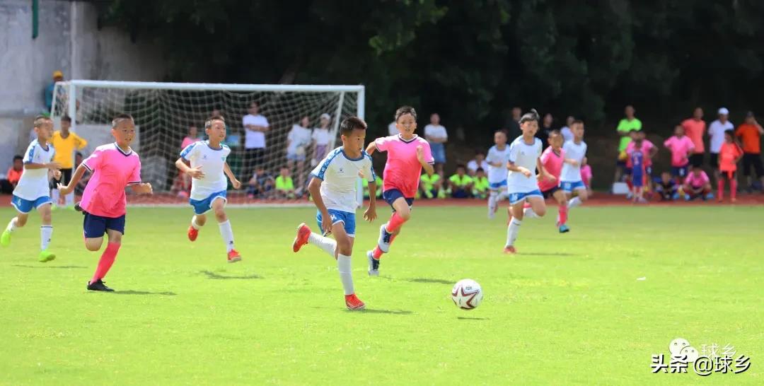 区中小学足球联赛,体教融合杯中学篮球赛