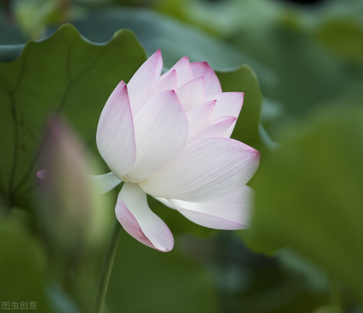 鍊氱獥鍚鎬濋煻鍗庨潤鏁版祦骞村叆鐑熼湠,鏃跺厜婕嵎宀佹湀鐣欓
