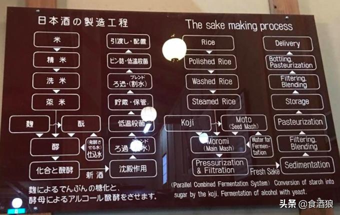 来去酒造喝清酒！玉川酒造见学