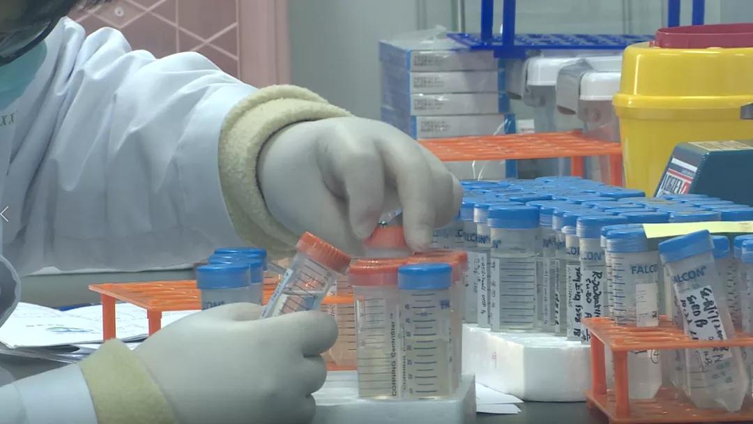 北京科技大学大兴研究院揭牌首都干细胞公共平台花落大兴！