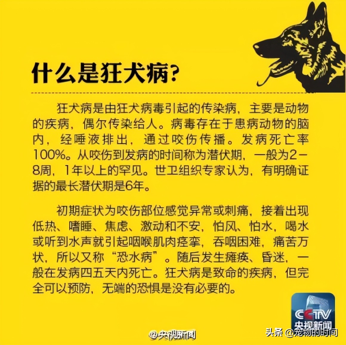 铲屎官的烦恼致命狂犬病,铲屎官是不是都打过狂犬疫苗