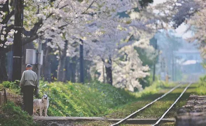 伴着清晨的阳光的句子,伴着落日余晖的唯美句子