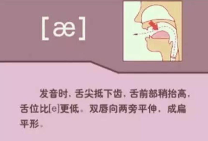 直播教正确英语学习方法,英语学习一对一外教