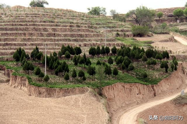 破解龙脉最好的方法,破龙脉从哪朝开始