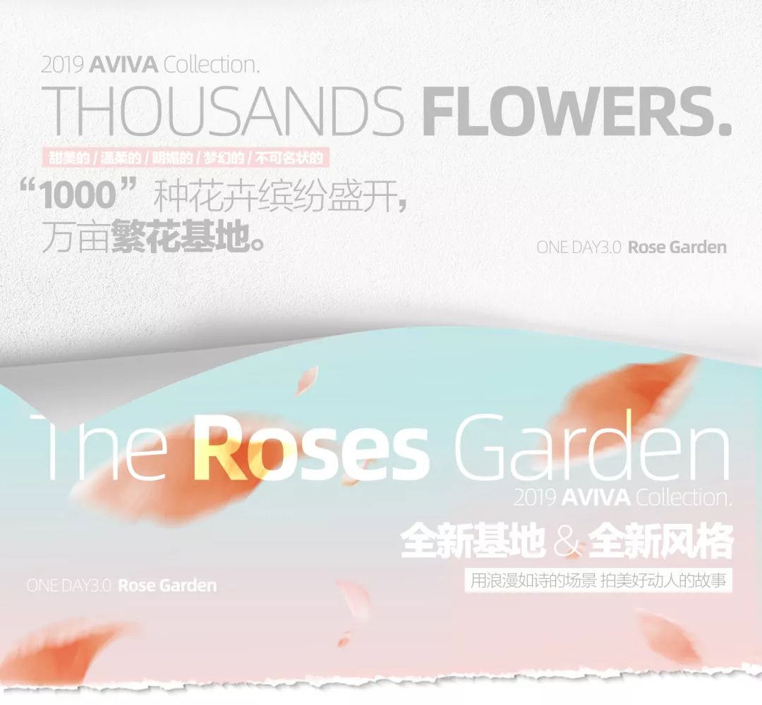 夏天适合拍婚纱照的景点,冬天拍婚纱照的最佳地方