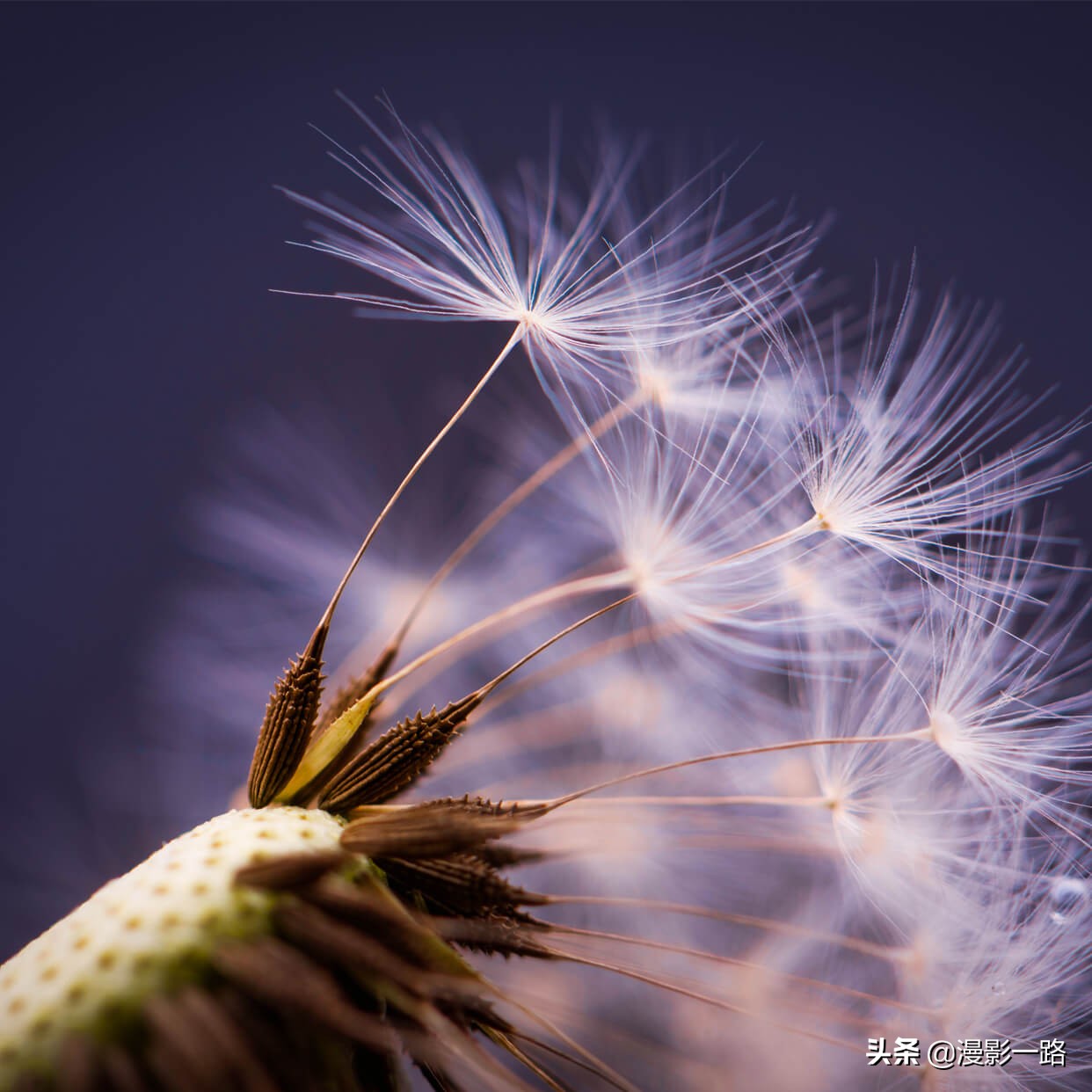便携防水COB泛光灯,便携led彩色灯摄影人像