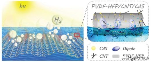 鍌寲蹇姤鏈熷垔,鍌寲鏉傚織灏侀潰