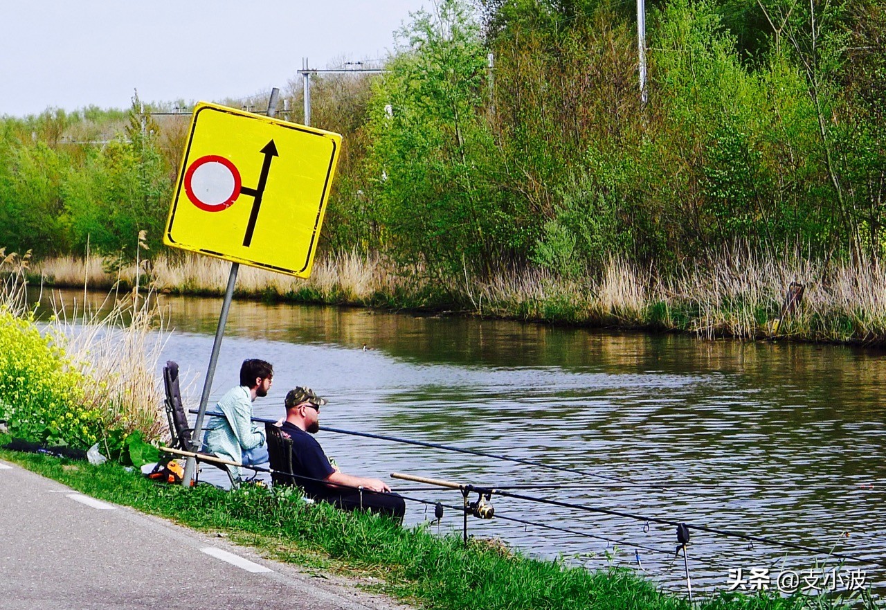 欧洲荷兰真实生活冷知识,荷兰阿姆斯特丹的冷知识