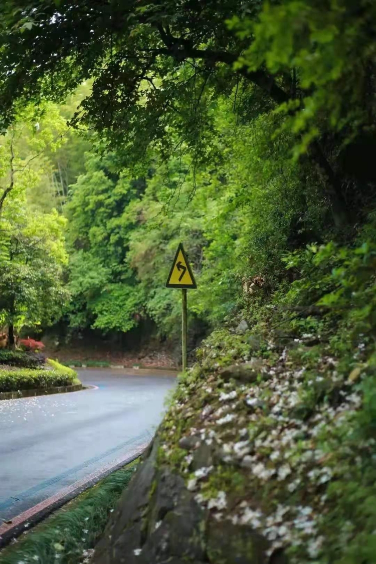 温州适合骑行的地方,温州最适合骑行的地方