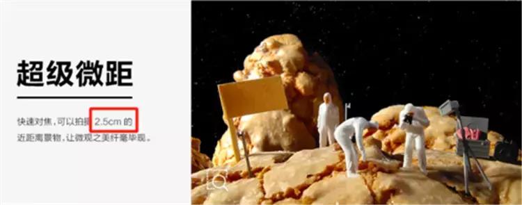 独立微距镜头,5个有关微距镜头的常见误解