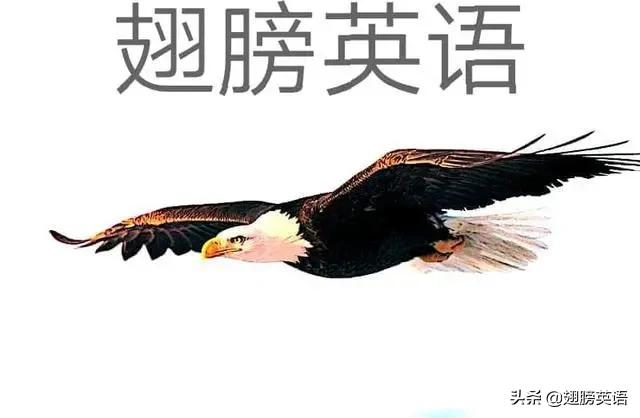 介词in用法记忆口诀,介词in精讲