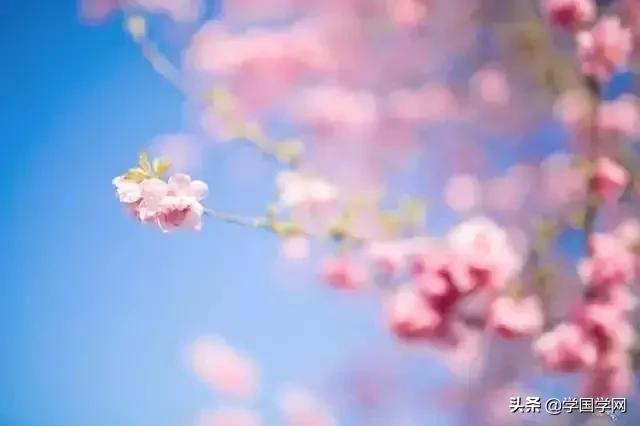 听书荡气回肠的诗词,十首堪称神转折的经典诗词