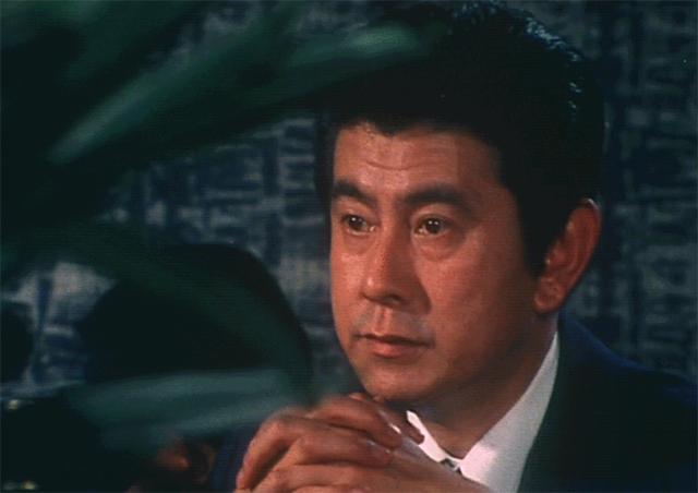 宇津井健和山口百惠视频,宇津井健血疑