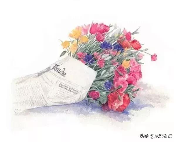 电子科大附小在成都小学排名,成都电子科大附属小学沙河校区